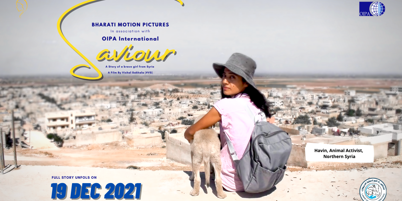 SAVIOUR, THE STORY OF AN EXTRAORDINARY ANIMAL ACTIVIST IN NORTHEN SYRIA