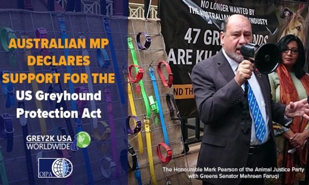 UPDATE ON THE US GREYHOUND PROTECTION ACT – AUSTRALIAN MP DECLARES PUBLICLY HIS SUPPORT