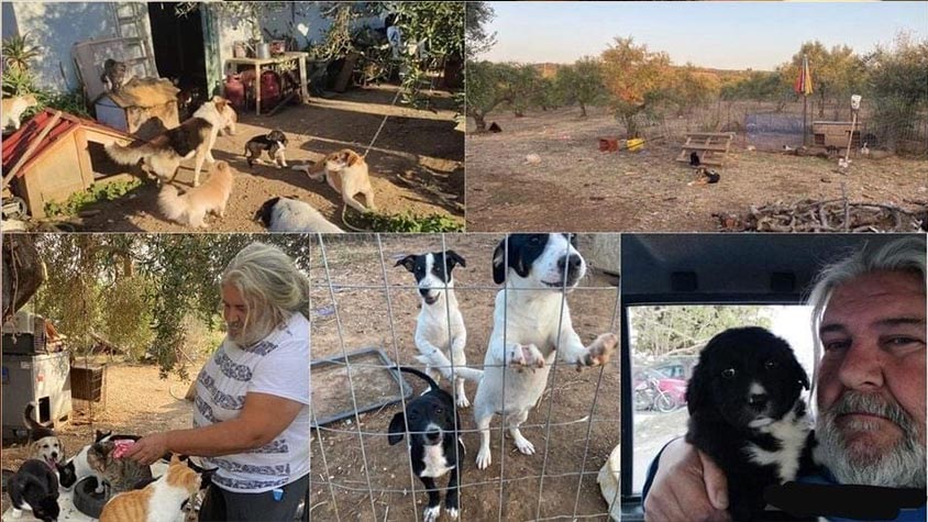 WORK IN PROGRESS FOR A NEW SAFE HAVEN DEDICATED TO STRAY ANIMALS IN PELOPONNESE, GREECE