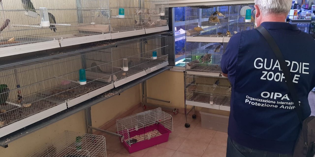 ROME, ITALY – OIPA ANIMAL CONTROL OFFICERS INSPECT AND SANCTION 30 PET SHOPS