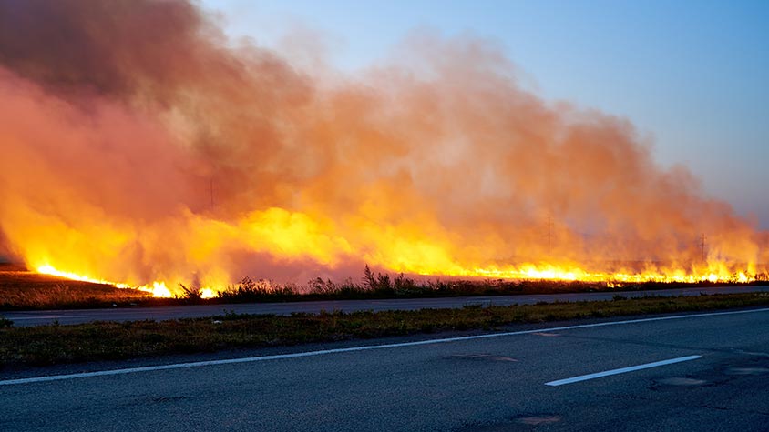 WILDFIRES ARE EXPECTED TO RISE BY 50% BY THE END OF THE CENTURY: THE SAD STATEMENT OF A NEW REPORT PUBLISHED BY THE UN ENVIRONMENT PROGRAMME