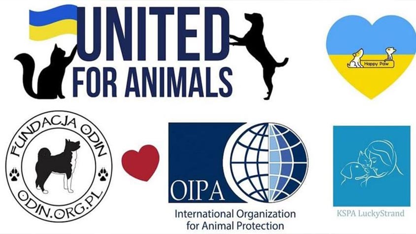 OIPA CROSSES UKRAINE’S BORDER BRINGING LOADS OF FOOD AND USEFUL MATERIAL TO SHELTERS AND LOCAL VOLUNTEERS