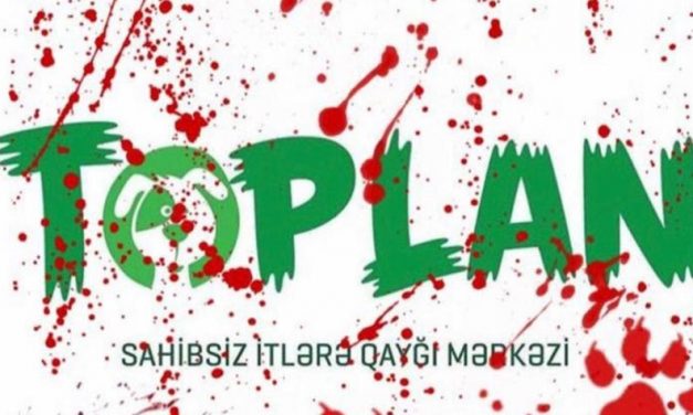 AZERBAIJAN: ANIMAL AND HUMAN RIGHTS TRAMPLED