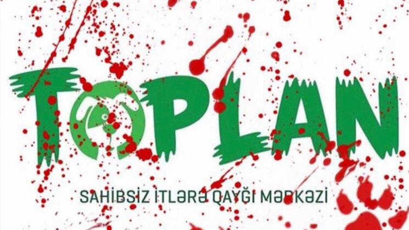 AZERBAIJAN: ANIMAL AND HUMAN RIGHTS TRAMPLED