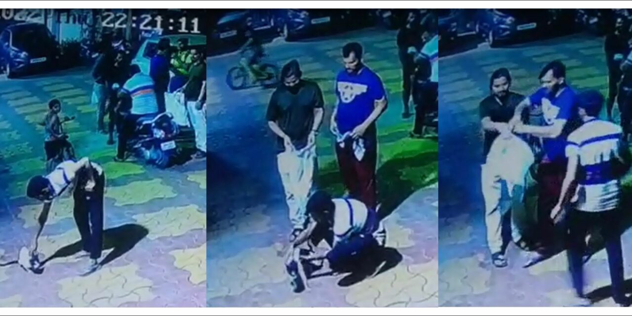 INDIA – ANIMAL CRUELTY AGAINST A STRAY CAT JOINTLY REPORTED BY OIPA MAHARASHTRA, AMMA CARE AND PAWS MUMBAI