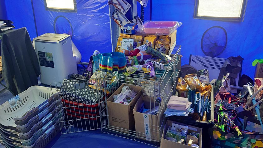 A NEW DONATION TO SAVA’S TO HELP ANIMALS OF UKRAINE