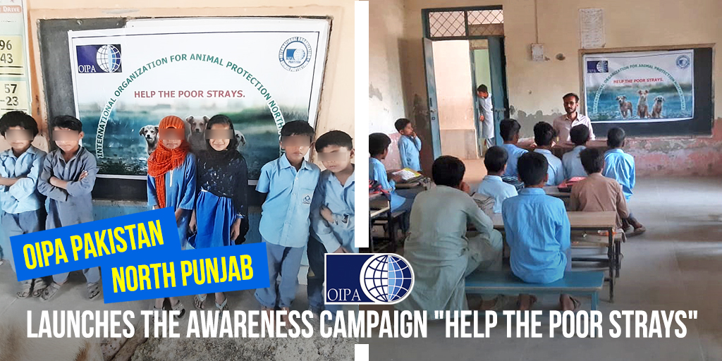 OIPA PAKISTAN – NORTH PUNJAB LAUNCHES THE AWARENESS CAMPAIGN “HOW TO HELP STRAYS” ADDRESSED TO CHILDREN OF PRIMARY AND ELEMENTARY SCHOOL