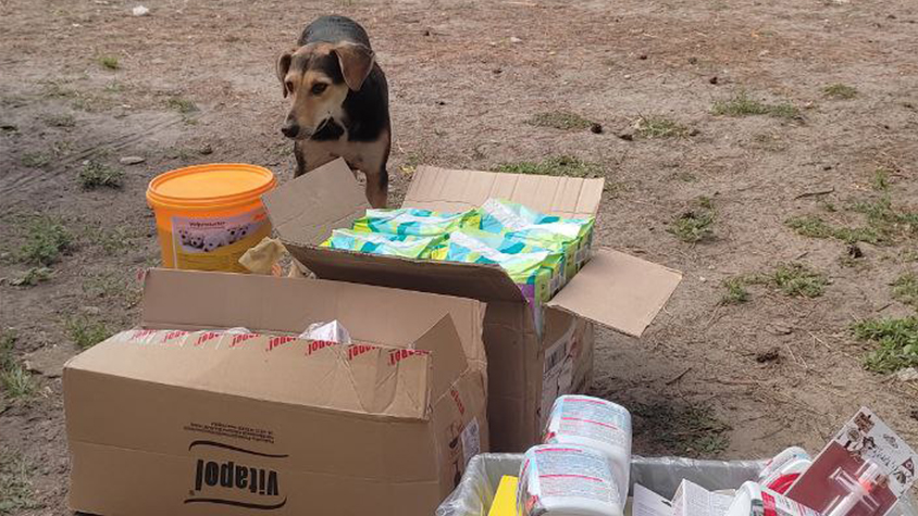 EMERGENCY UKRAINE: UPDATES ON ANIMALS HELPED IN SEPTEMBER AND OCTOBER