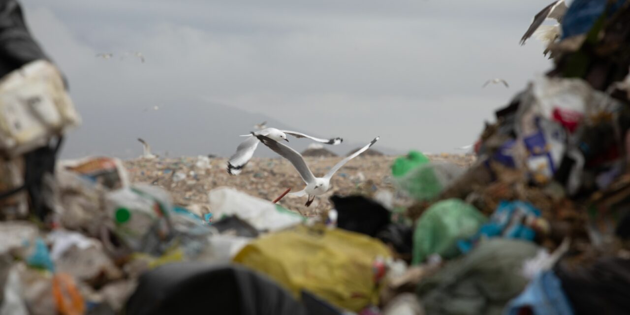 OIPA IS MEMBER OF THE GLOBAL WASTE CLEANING NETWORK (GWCN)