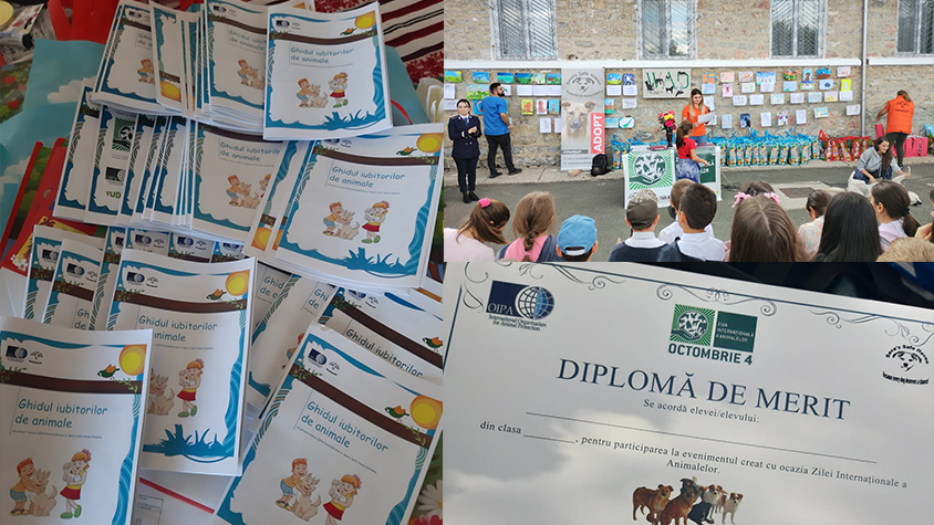 THE FIRST EDUCATIONAL PROGRAMME ON ANIMAL WELFARE IN TULCEA HEADED BY SAVA’S SAFE HAVEN AND SPONSORED BY OIPA INTERNATIONAL