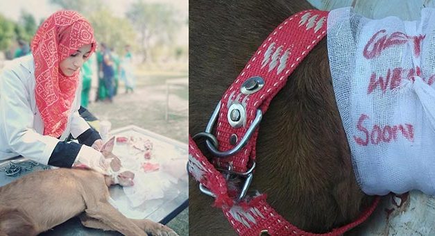 THE DEVASTATING IMPACT OF FLOODS IN PAKISTAN. OIPA DELEGATION IN LAHORE IS TRYING TO HELP FLOOD-AFFECTED ANIMALS BUT THEY NEED SUPPORT