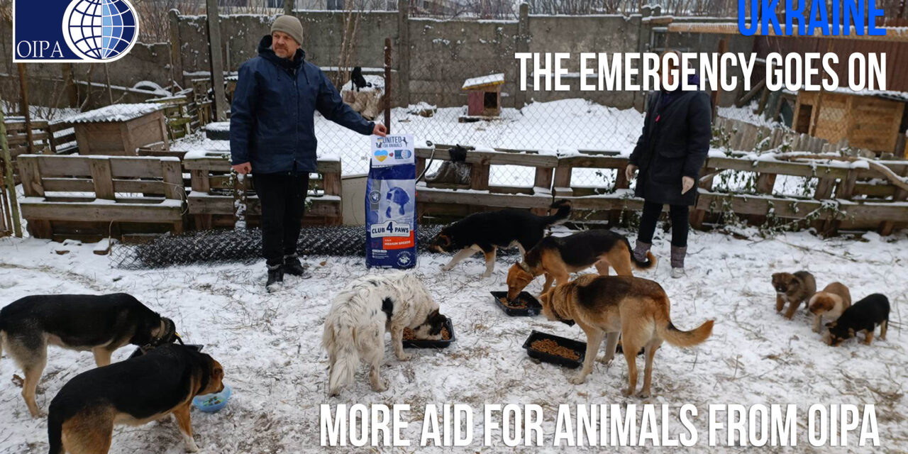 EMERGENCY UKRAINE: SUMMARY OF AID FOR ANIMALS FROM JUNE TO NOVEMBER