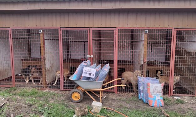 EMERGENCY UKRAINE: UPDATE ON AID PROVIDED TO ANIMALS IN NOVEMBER