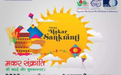 OIPA MAHARASHTRA, ACF AND PAWS MUMBAI CELEBRATE MAKAR SANKRANTI WITH AN INITIATIVE TO PROTECT BIRDS