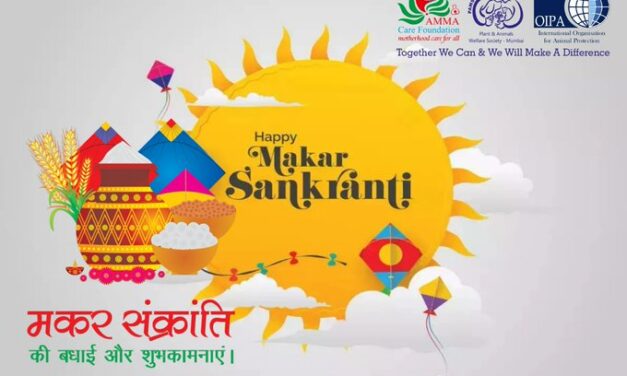 OIPA MAHARASHTRA, ACF AND PAWS MUMBAI CELEBRATE MAKAR SANKRANTI WITH AN INITIATIVE TO PROTECT BIRDS