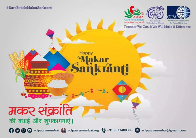OIPA MAHARASHTRA, ACF AND PAWS MUMBAI CELEBRATE MAKAR SANKRANTI WITH AN INITIATIVE TO PROTECT BIRDS