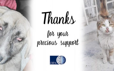 THANKS FOR YOUR SUPPORT
