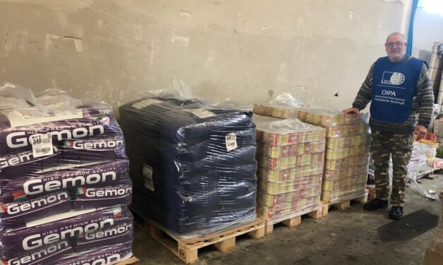 FOOD DELIVERY FOR ANIMALS LOOKED AFTER BY VOLUNTEERS OF OIPA CORSICA