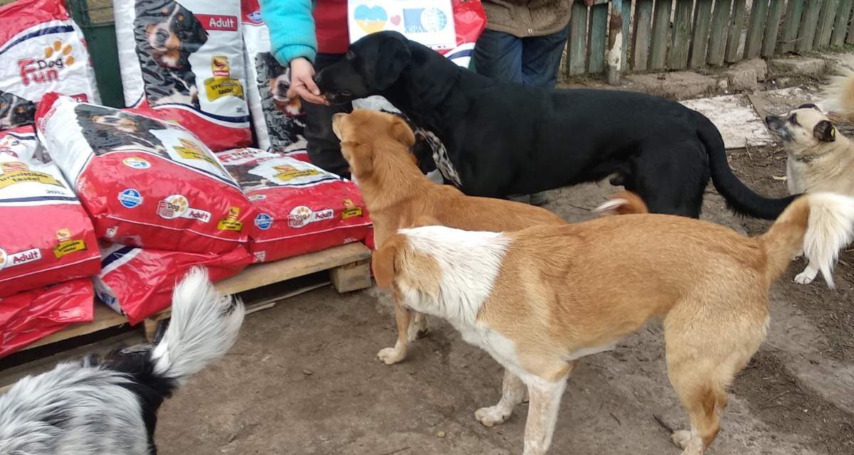 EMERGENCY UKRAINE: AN OVERVIEW OF AID TO ANIMALS RECENTLY DELIVERED