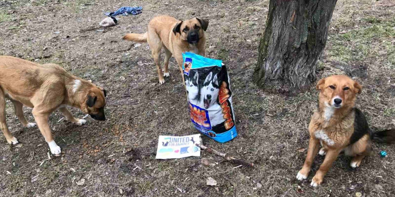 EMERGENCY UKRAINE: LAST FEBRUARY DELIVERY IN PARTNERSHIP WITH HAPPY PAW
