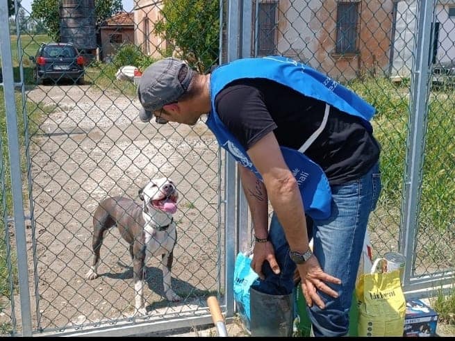 ITALY FLOODS AFTERMATH. OIPA VOLUNTEERS ARE STILL LENDING FLOOD VICTIMS A HELPING HAND