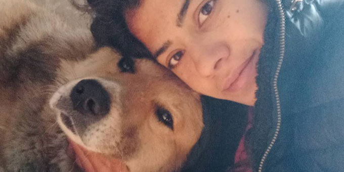 A SPECIAL RESCUE AND RELOCATION MISSION TO SAVE THREE SPECIAL DOGS LOOKED AFTER BY SPECIAL WOMAN