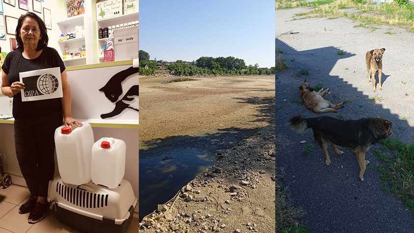 EMERGENCY UKRAINE: WATER RESERVOIRS FOR THE ANIMALS IN NIKOPOL