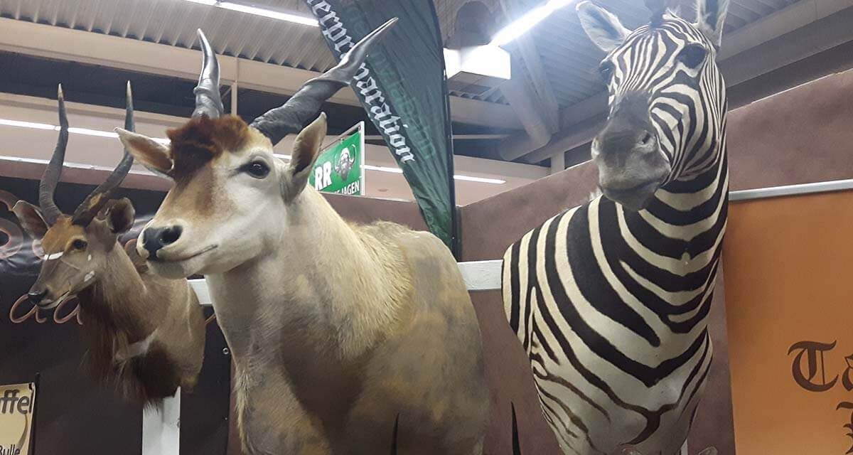 DORTMUND FAIR ON TROPHY HUNTING, OIPA ENDORSES THE LETTER SENT BY WAPFSA ASKING CITY MAJOR TO SUSPEND THE EVENT
