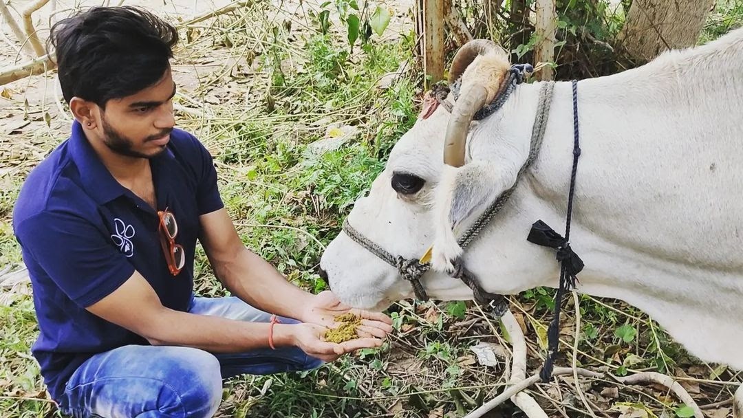 OIPA’S NEW MEMBER: ANIMAL PROTECTION SOCIETY IN UDAIPUR, INDIA