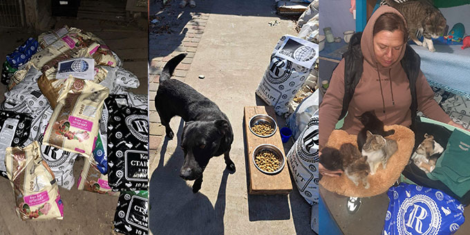 OVER 1.5 TONS OF FOOD DISTRIBUTED TO DOGS AND CATS IN NIKOPOL, VILNOHIRSK AND BOYARKA