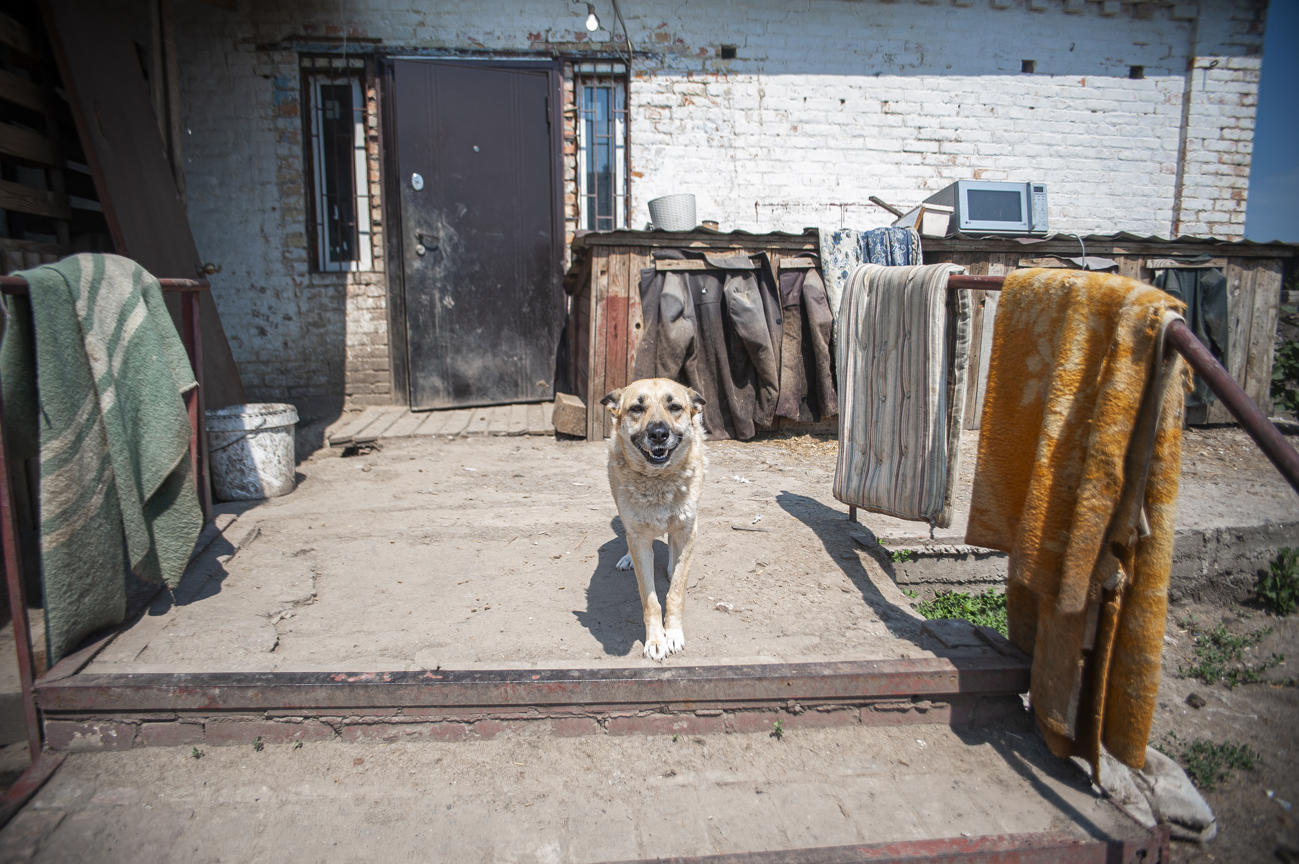 EMERGENCY UKRAINE: URGENT SUPPORT IS NEEDED TO HELP HOMELESS ANIMALS IN ZAPORIZHZHIA REGION