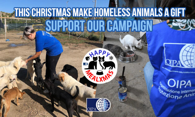 HAPPY MEAL XMAS! THIS CHRISTMAS, DONATE A MEAL TO HOMELESS ANIMALS