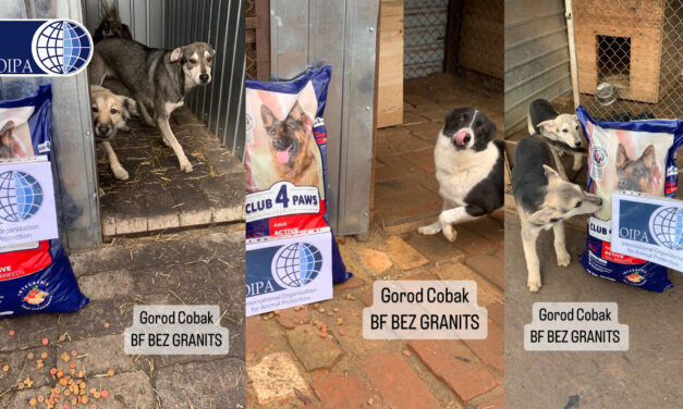 EMERGENCY UKRAINE: FOOD DISTRIBUTED TO DOGS AT GOROD COBAK SHELTER IN MYKOLAIV