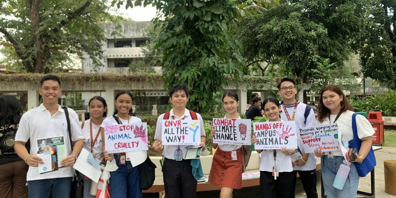 OIPA SUPPORTS STRAY WATCHERS PHILIPPINES IN THEIR COMPASSIONATE INITIATIVE FOR STRAY ANIMAL WELFARE AT CAMPUSES