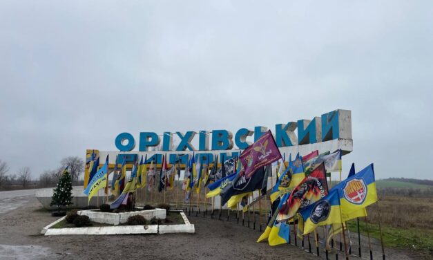 OIPA HELPED STERILIZE AND VACCINATE 131 ANIMALS IN ZAPORIZHZHYA REGION