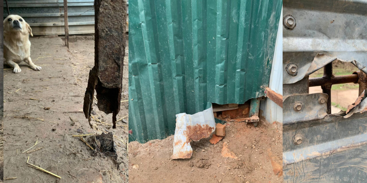 SOS URGENT APPEAL! HELP US COVER THE COST OF REPAIRS AND IMPROVEMENTS AT GOROD COBAK SHELTER IN MYKOLAIV