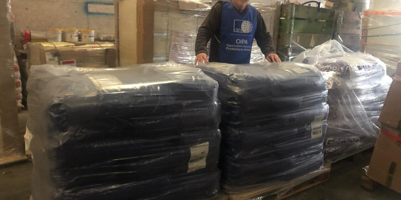 NEW YEAR GIFT FOR CATS AND DOGS LOOKED AFTER BY OIPA VOLUNTEER IN CORSICA
