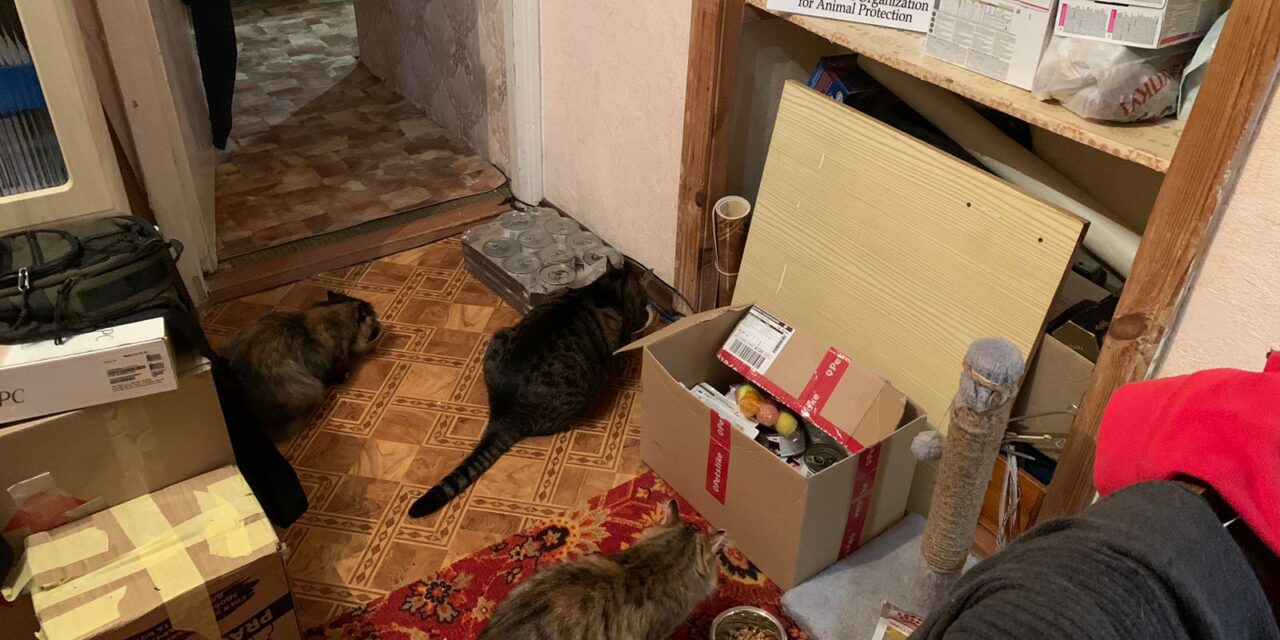 EMERGENCY UKRAINE: A GIFT FOR FIVE FURRY TAILS