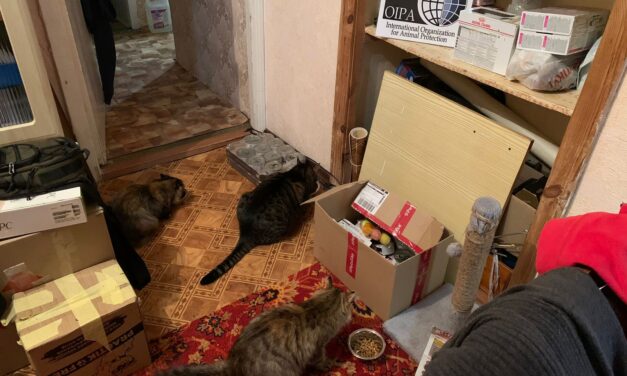 EMERGENCY UKRAINE: A GIFT FOR FIVE FURRY TAILS