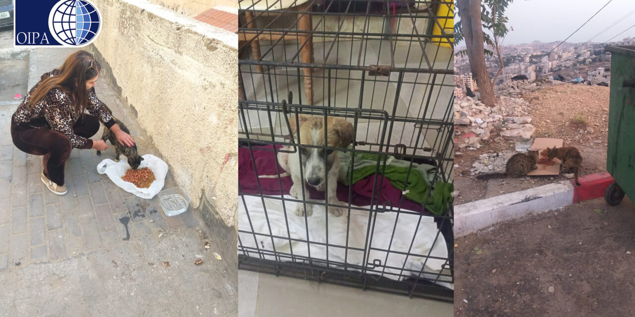 PALESTINE, DONATION TO AEA BETHLEHEM FOR THEIR ACTIVITIES IN AID OF HOMELESS ANIMALS