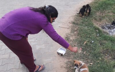 YOUNG VOLUNTEER IN SANGRUR PROMOTES ANIMAL WELFARE