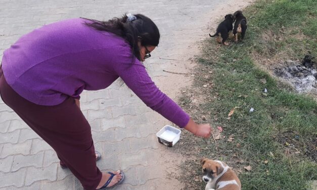 YOUNG VOLUNTEER IN SANGRUR PROMOTES ANIMAL WELFARE