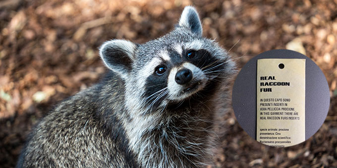 TELL SPACE 2000 TO GO FUR AND LEATHER FREE