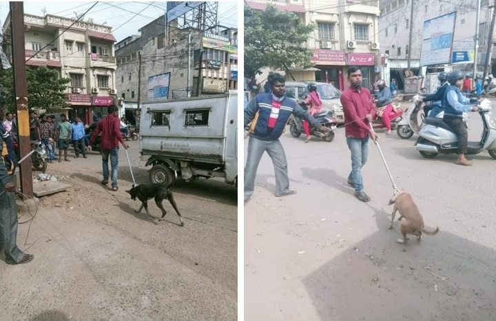 OIPA IN ODISHA SUBMITS A COMPLAIN FOR ILLEGAL DOG RELOCATION BY MUNICIPAL CORPORATION BHUBANESWAR
