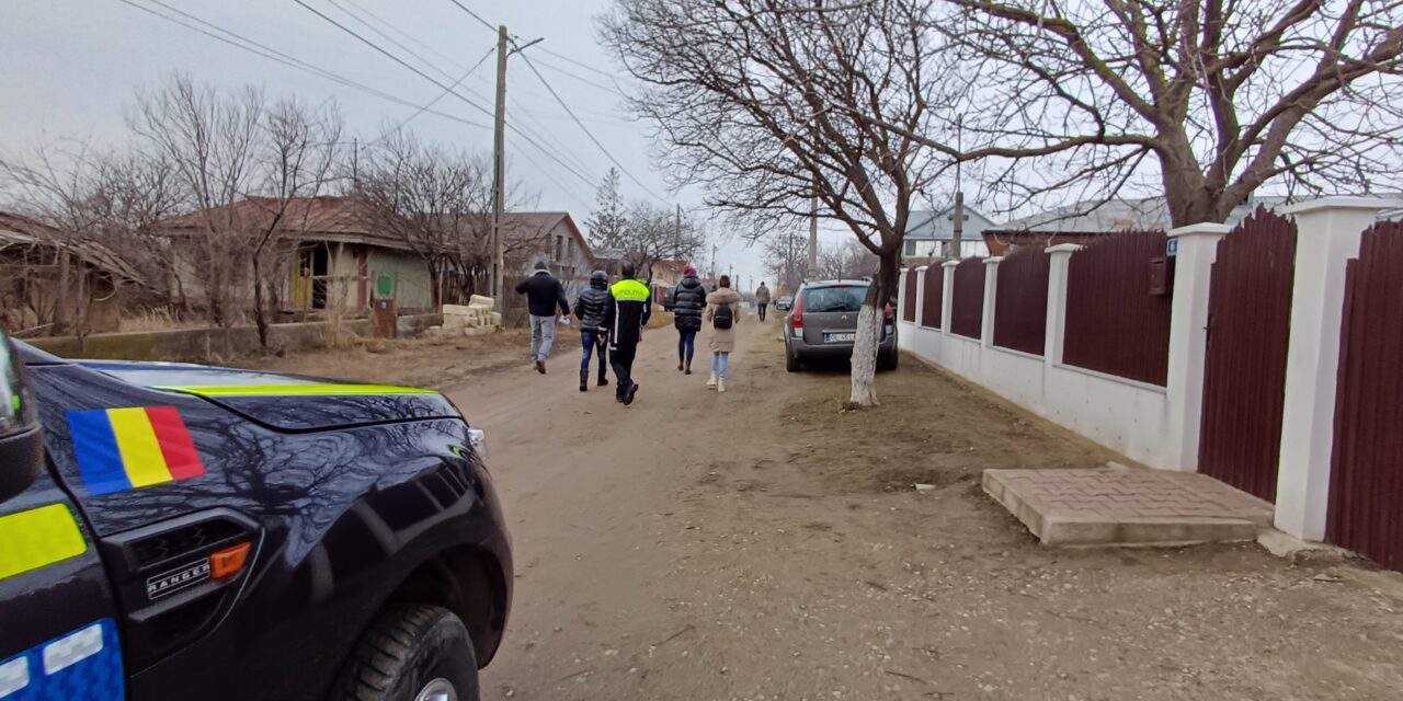 DOG STERILIZATION CAMPAIGN IN BRANISTEA, ROMANIA