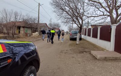 DOG STERILIZATION CAMPAIGN IN BRANISTEA, ROMANIA