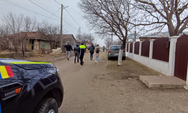 DOG STERILIZATION CAMPAIGN IN BRANISTEA, ROMANIA