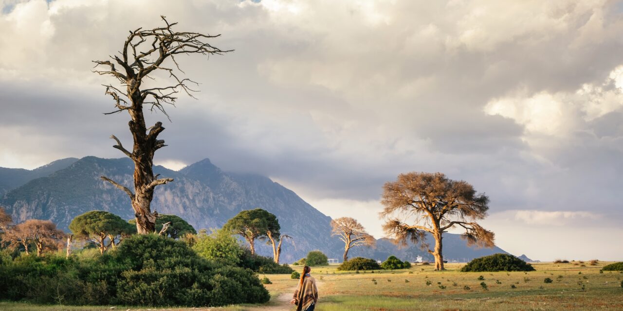 UNEA-6 FOCUSES ON TACKLE CLIMATE CHANGE, BIODIVERSITY LOSS AND POLLUTION