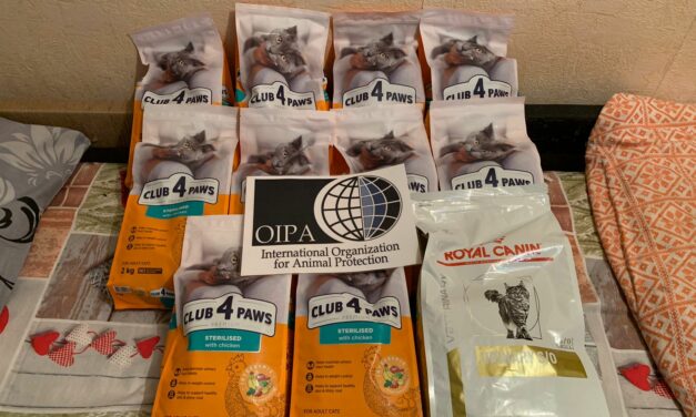 FOOD FOR PETS OF VULNERABLE FAMILIES IN NIKOPOL AND VILNOHIRSK