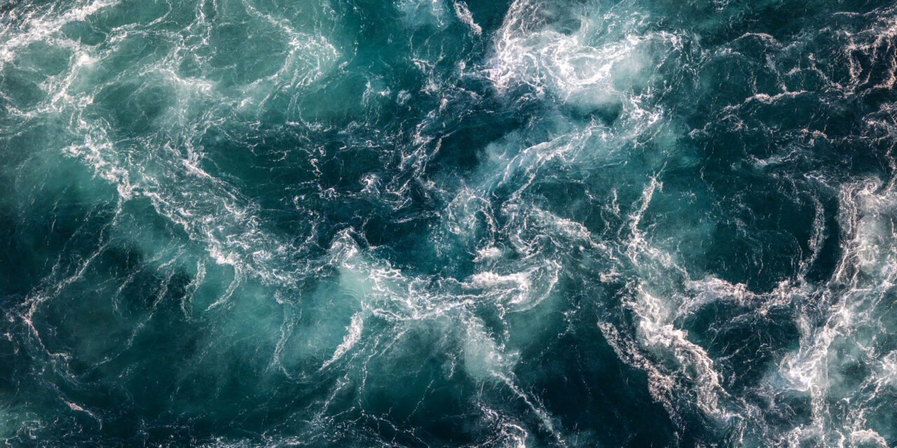 WORLD OCEANS DAY 2024 – AWAKEN NEW DEPTHS
